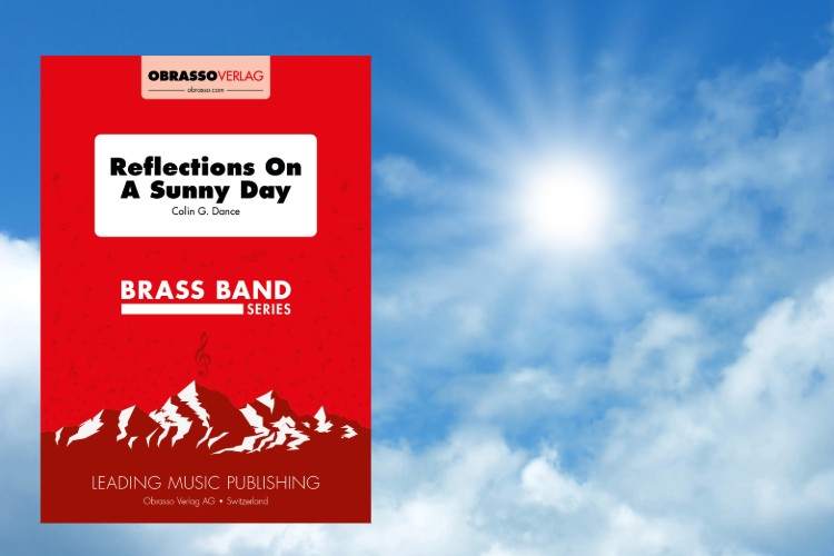 Reflections On A Sunny Day